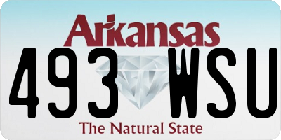 AR license plate 493WSU