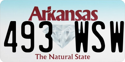 AR license plate 493WSW