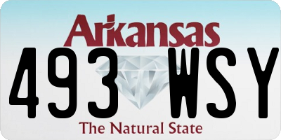 AR license plate 493WSY