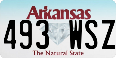 AR license plate 493WSZ