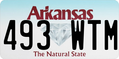 AR license plate 493WTM