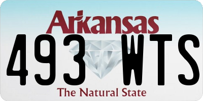 AR license plate 493WTS