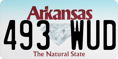 AR license plate 493WUD