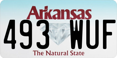 AR license plate 493WUF