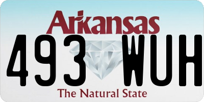 AR license plate 493WUH