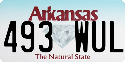 AR license plate 493WUL