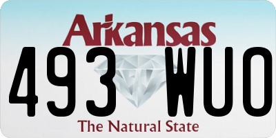 AR license plate 493WUO