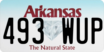 AR license plate 493WUP