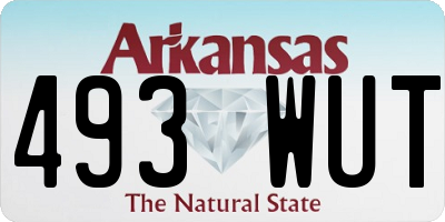 AR license plate 493WUT