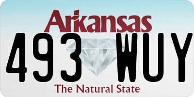 AR license plate 493WUY