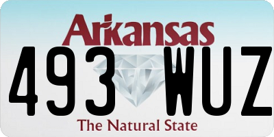 AR license plate 493WUZ