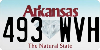 AR license plate 493WVH