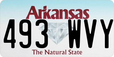 AR license plate 493WVY