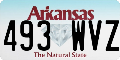 AR license plate 493WVZ