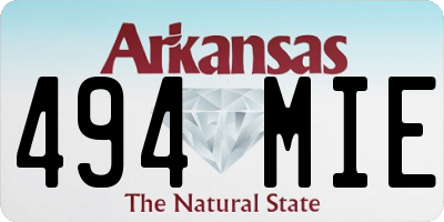 AR license plate 494MIE