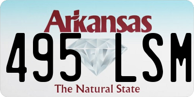 AR license plate 495LSM
