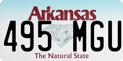 AR license plate 495MGU