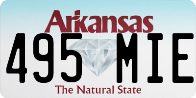 AR license plate 495MIE