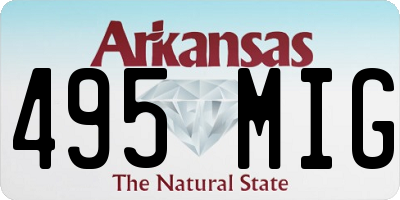 AR license plate 495MIG