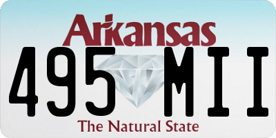 AR license plate 495MII