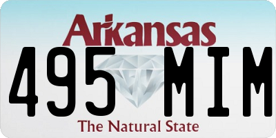 AR license plate 495MIM