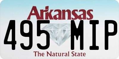 AR license plate 495MIP
