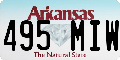 AR license plate 495MIW
