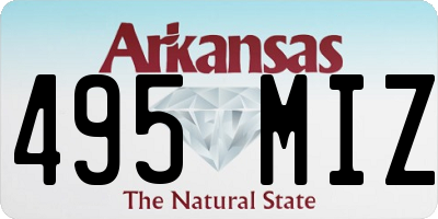AR license plate 495MIZ