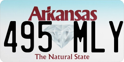 AR license plate 495MLY