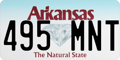 AR license plate 495MNT