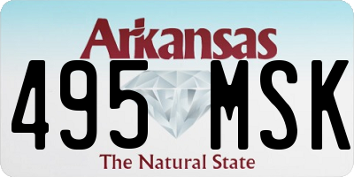 AR license plate 495MSK