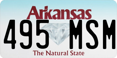 AR license plate 495MSM