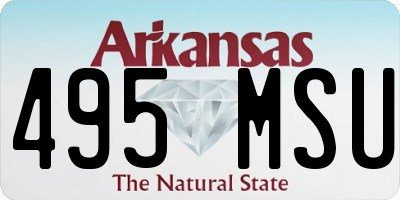 AR license plate 495MSU