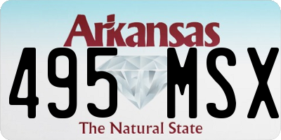 AR license plate 495MSX