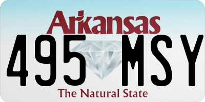 AR license plate 495MSY