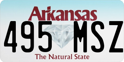 AR license plate 495MSZ
