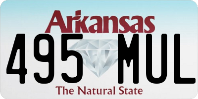 AR license plate 495MUL