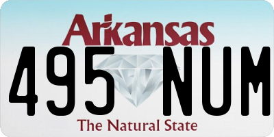 AR license plate 495NUM