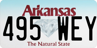 AR license plate 495WEY
