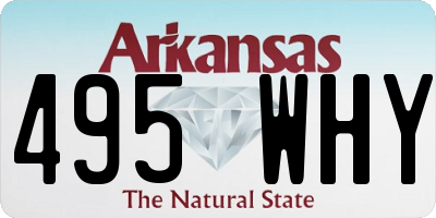 AR license plate 495WHY