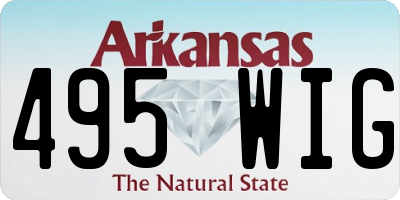 AR license plate 495WIG
