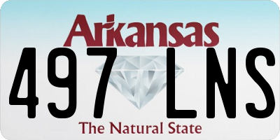 AR license plate 497LNS