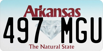 AR license plate 497MGU