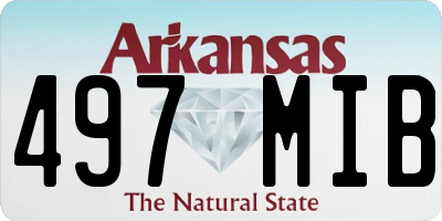 AR license plate 497MIB
