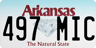 AR license plate 497MIC