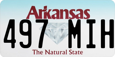 AR license plate 497MIH
