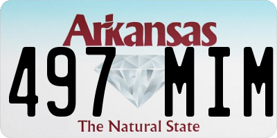 AR license plate 497MIM