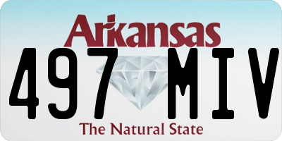 AR license plate 497MIV