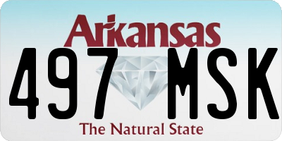 AR license plate 497MSK