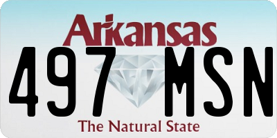 AR license plate 497MSN